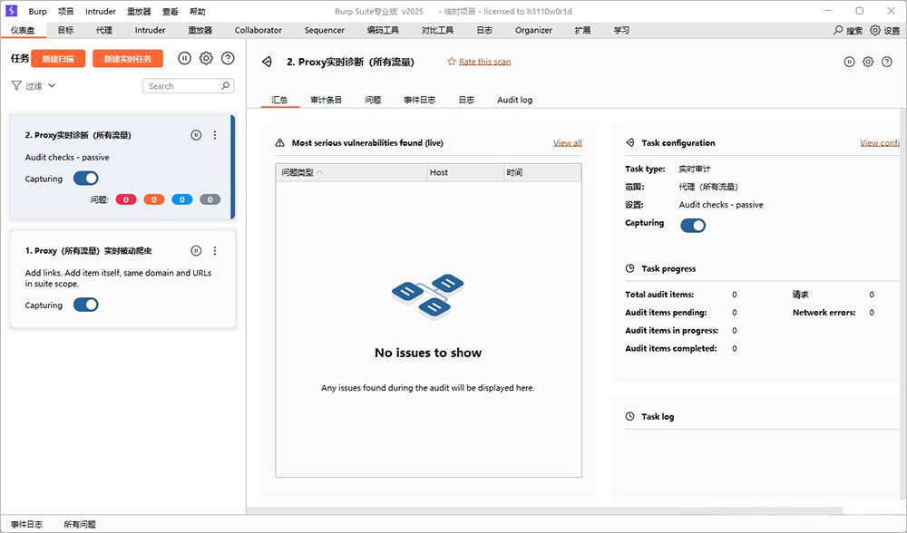 BurpSuite Pro 2025界面截圖
