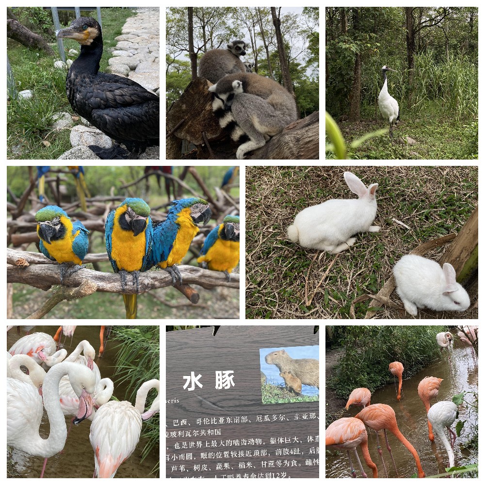 厚積薄發(fā)，蓄力前行：大手牽小手，共圓實(shí)佳夢(mèng)